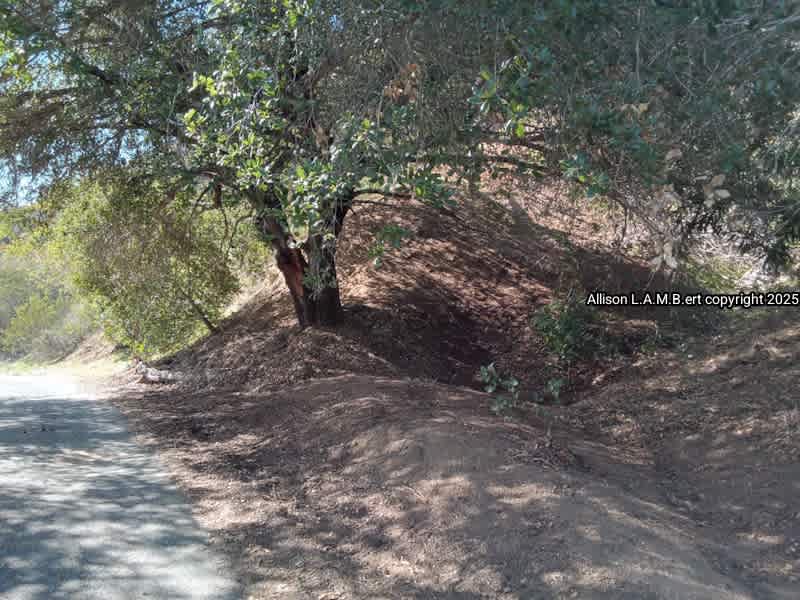 Detour n De Luz Fallbrook San Diego