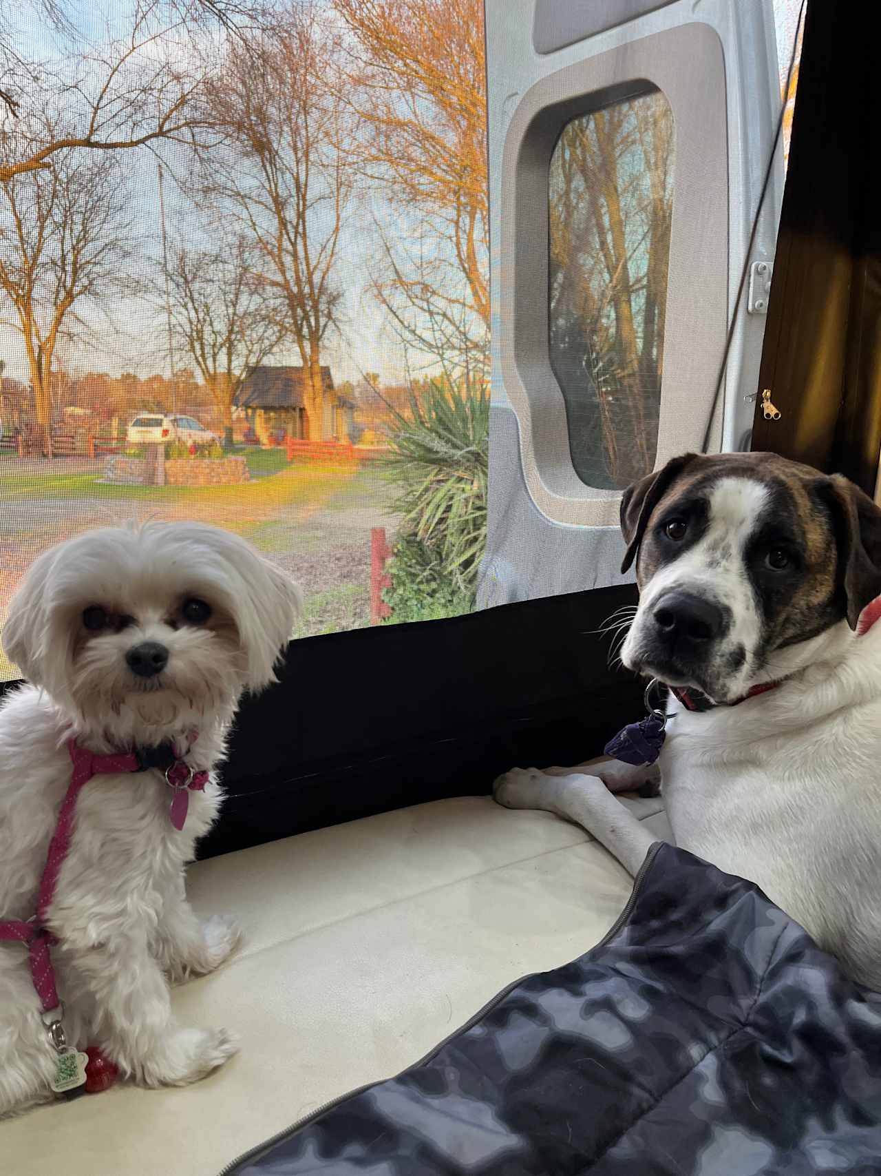 We love it here mom!