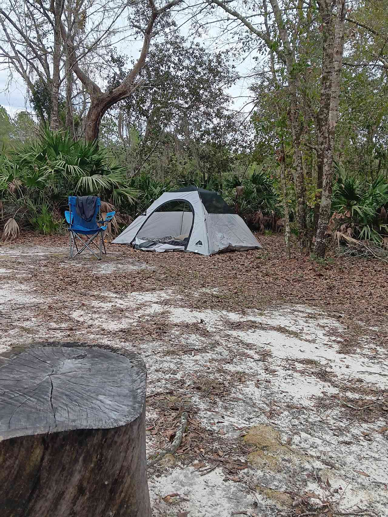 THE HIDEOUT