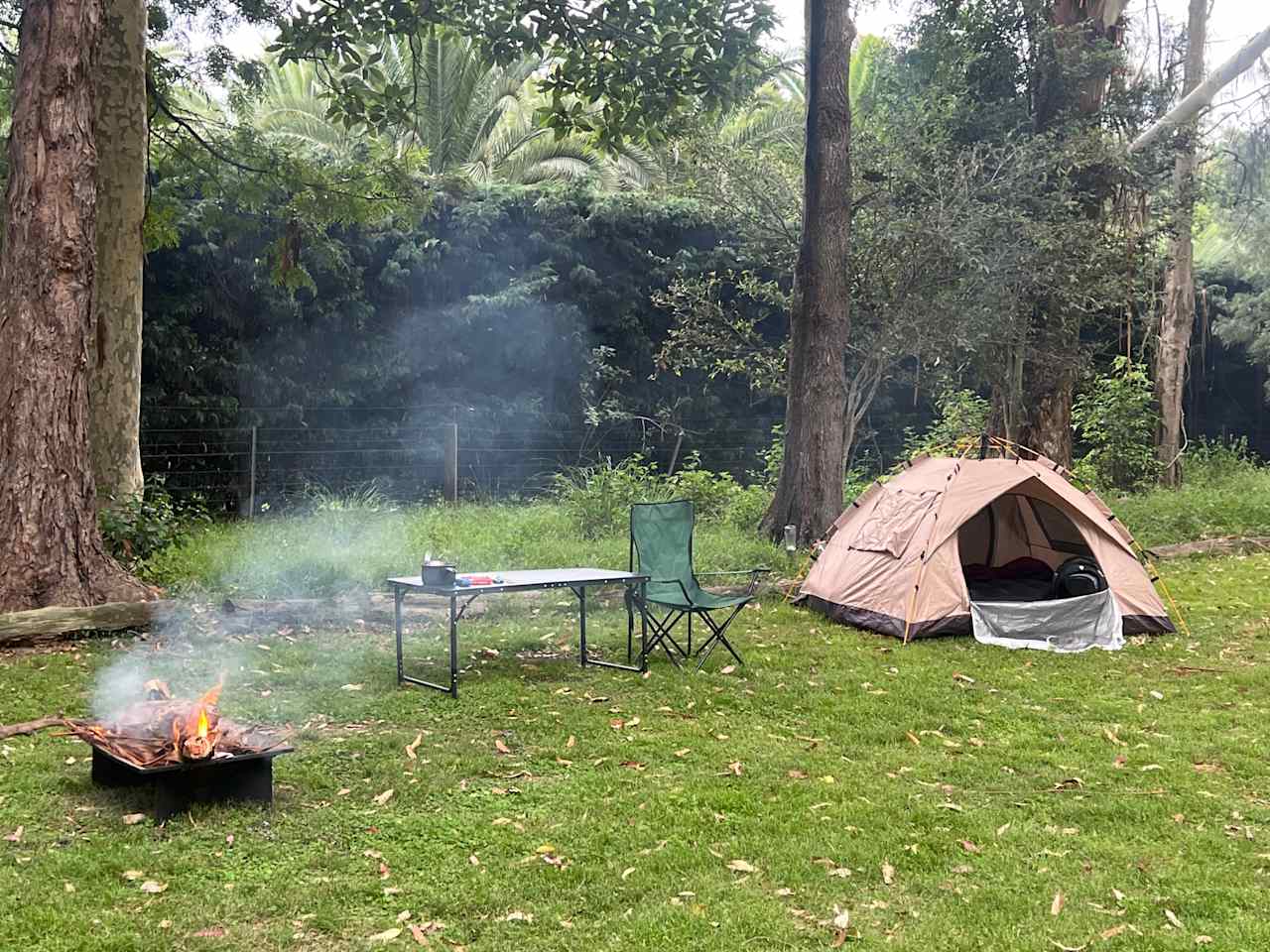 Secrets of Terara