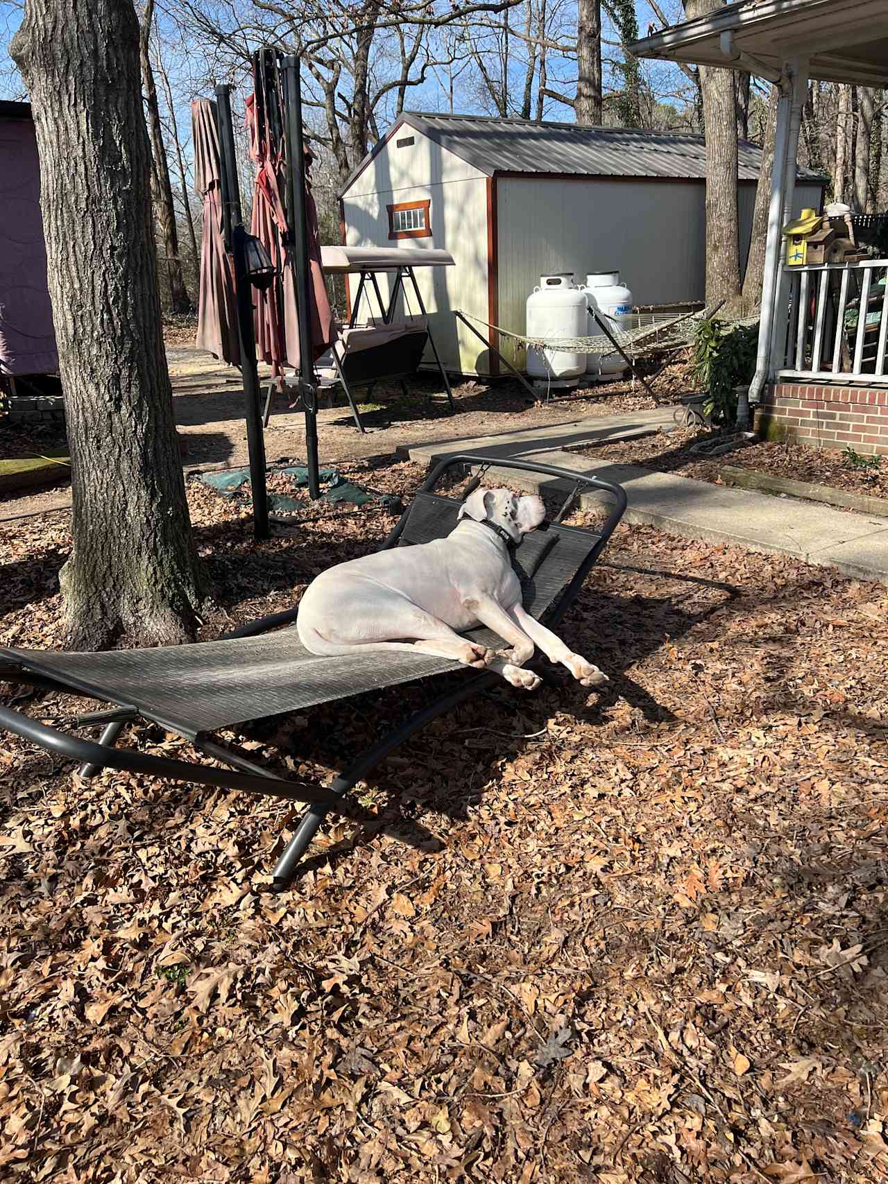 Animal Sanctuary and Peace Park