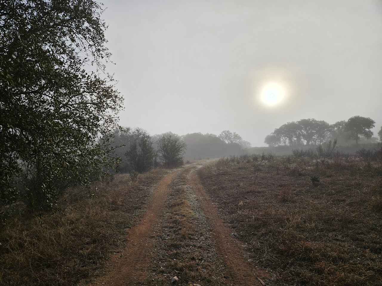 Haby Ranch
