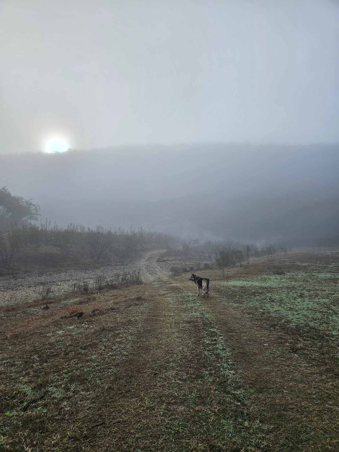 Haby Ranch