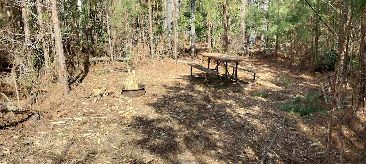 Pine Meadows Primitive Campground