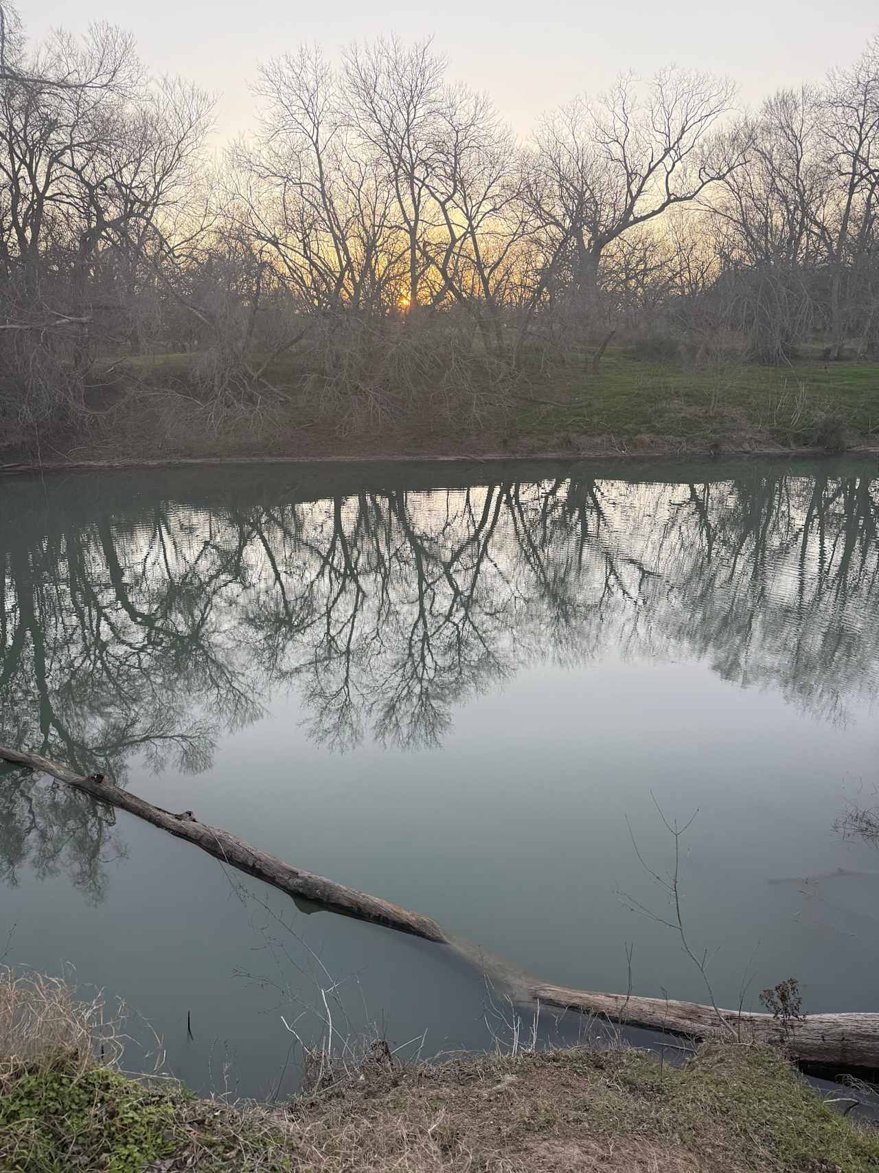 River Grove Campground
