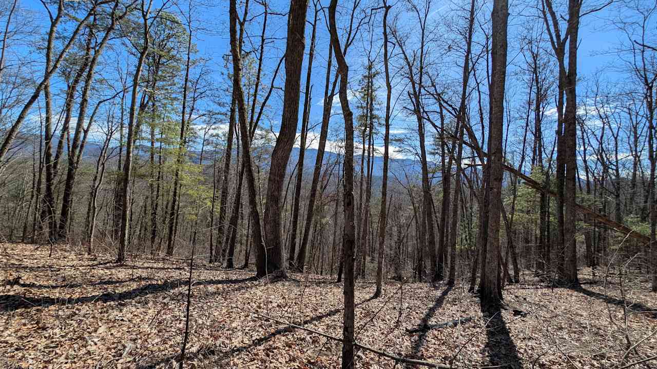 Hiking trail view