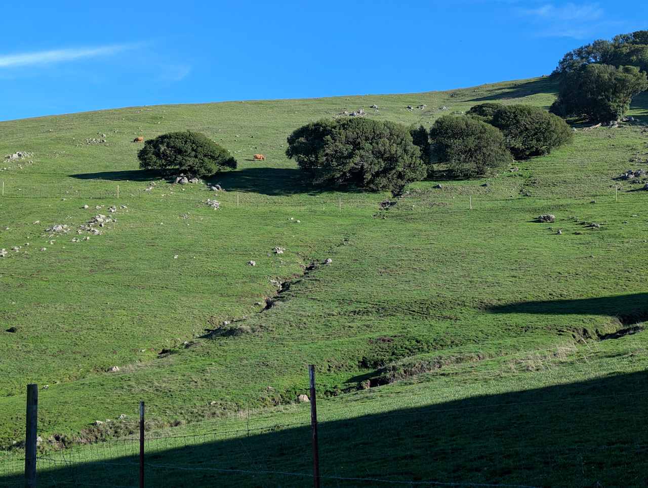 Tilted Earth Ranch