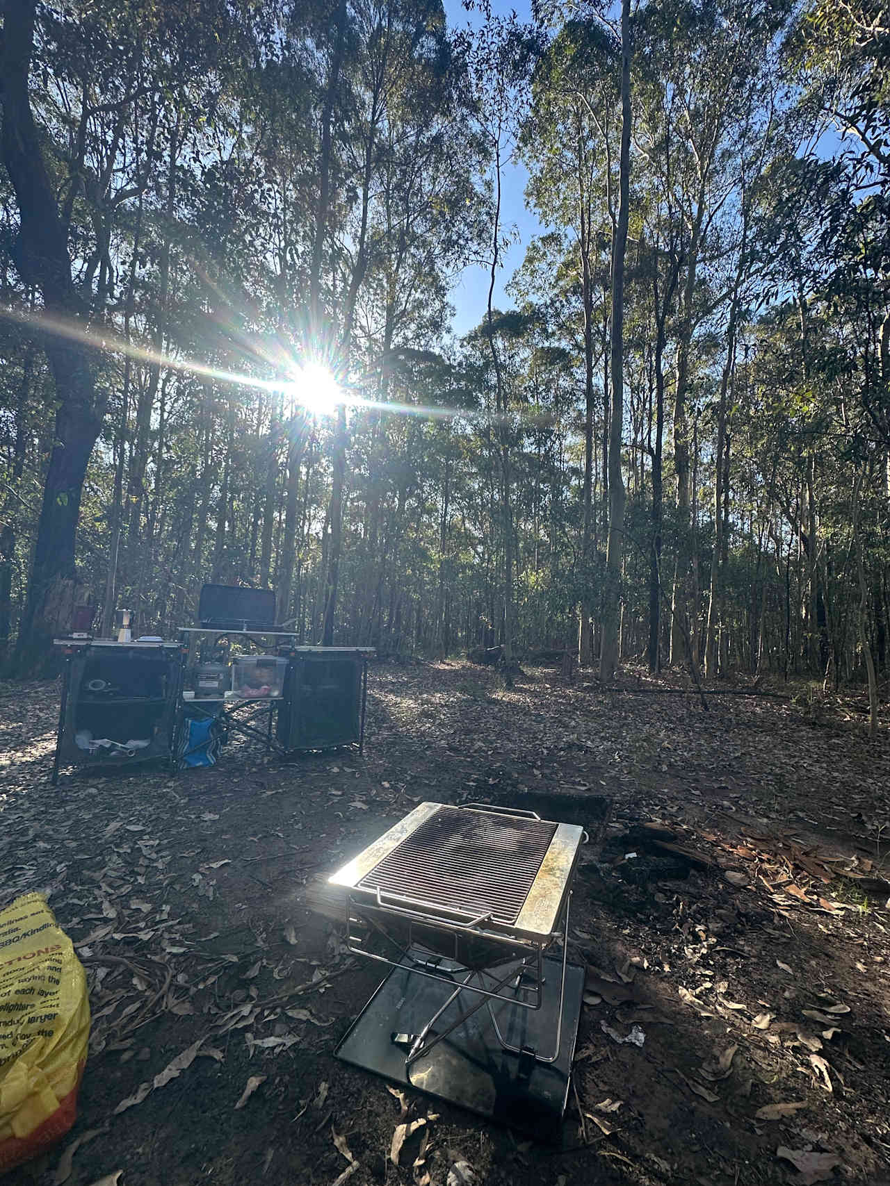 Falls Forest
