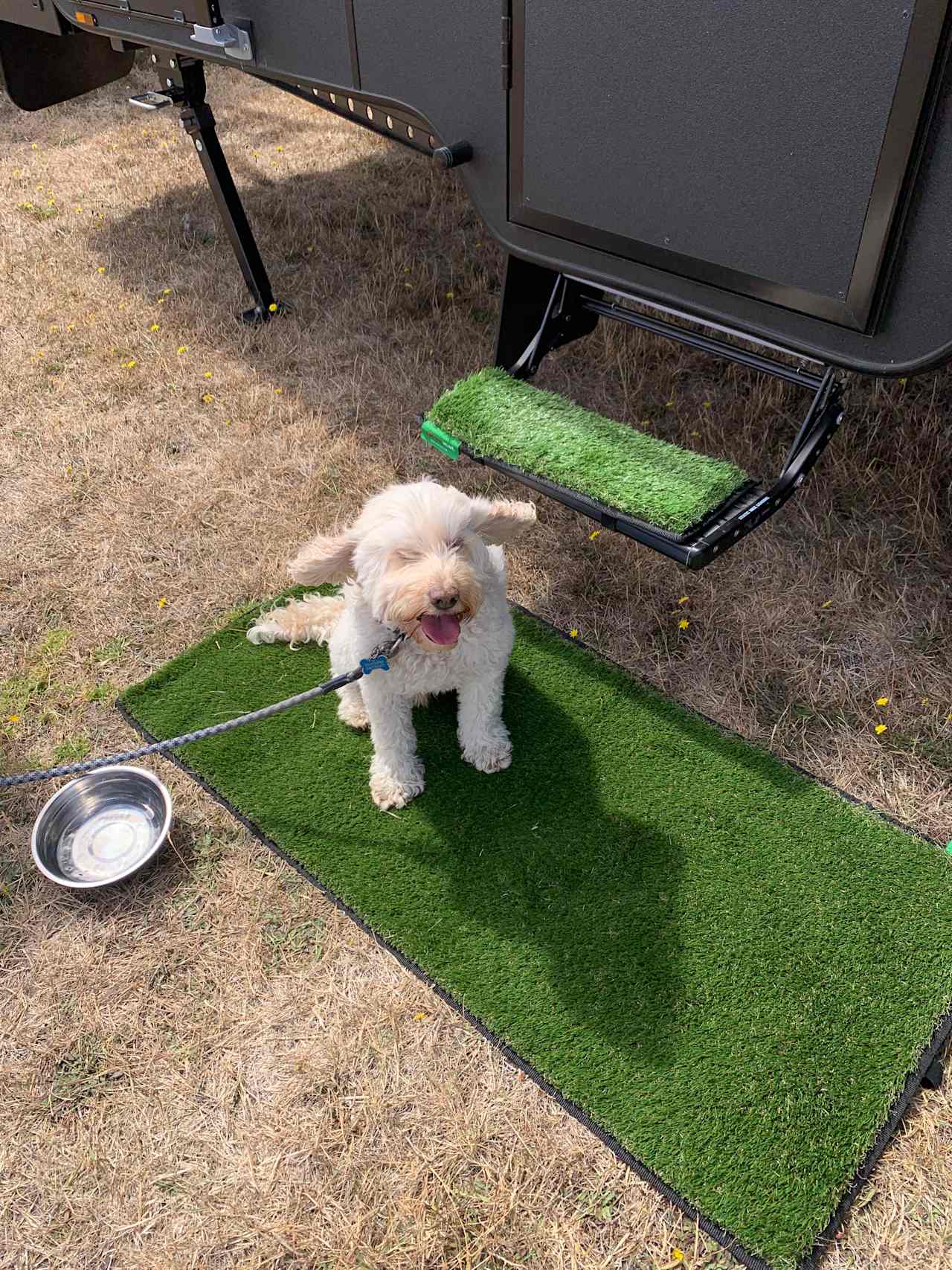 Pet Friendly 