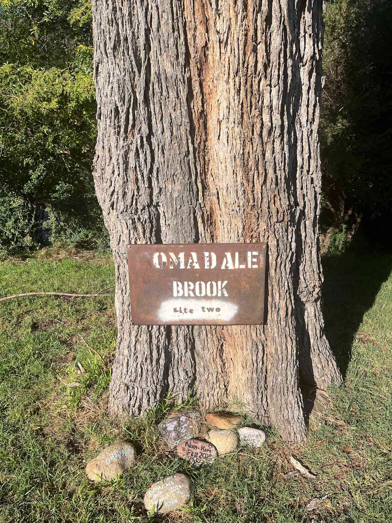 Omadale Brook, Barrington Tops