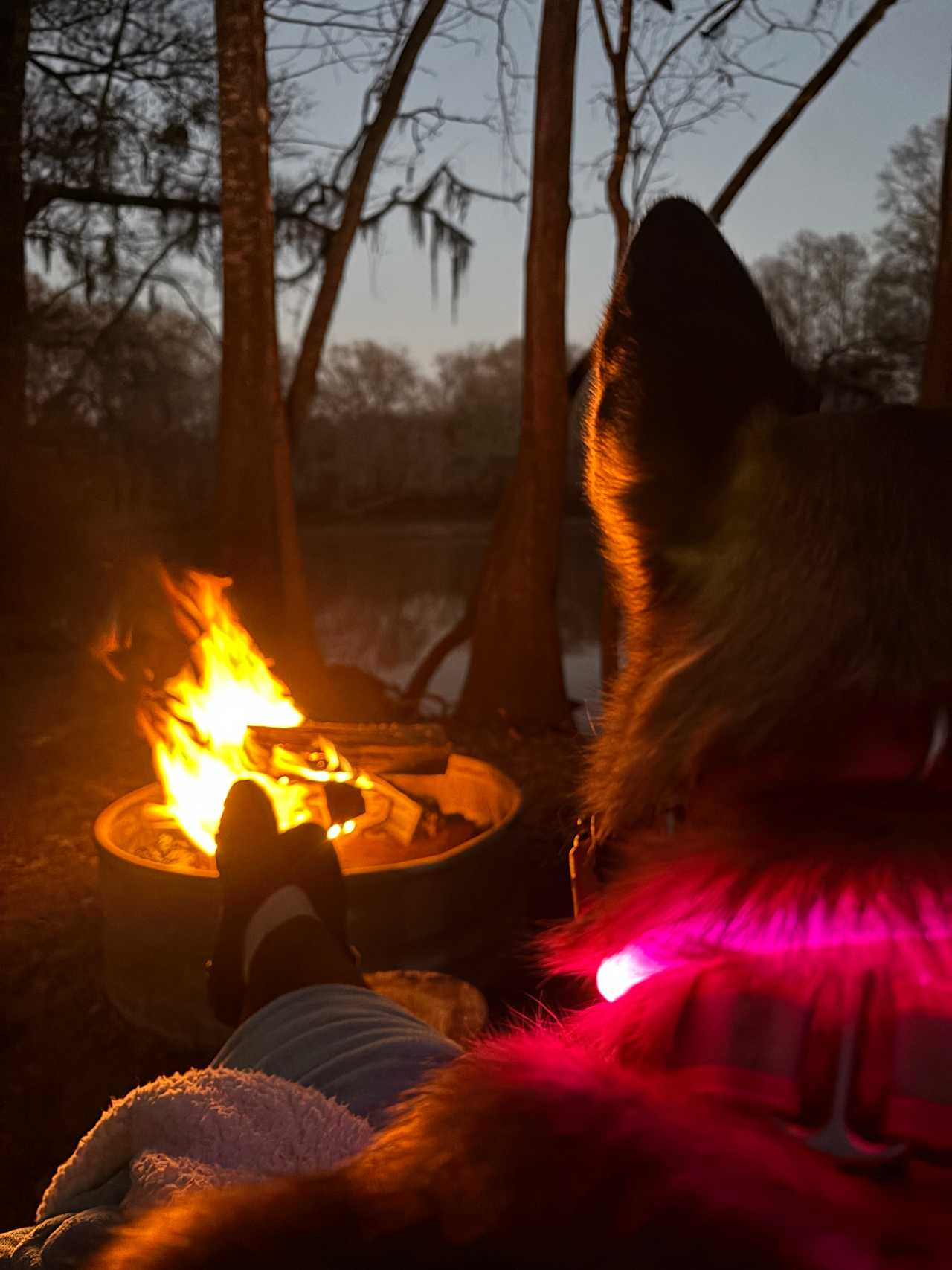 Edisto Camp And Canoe