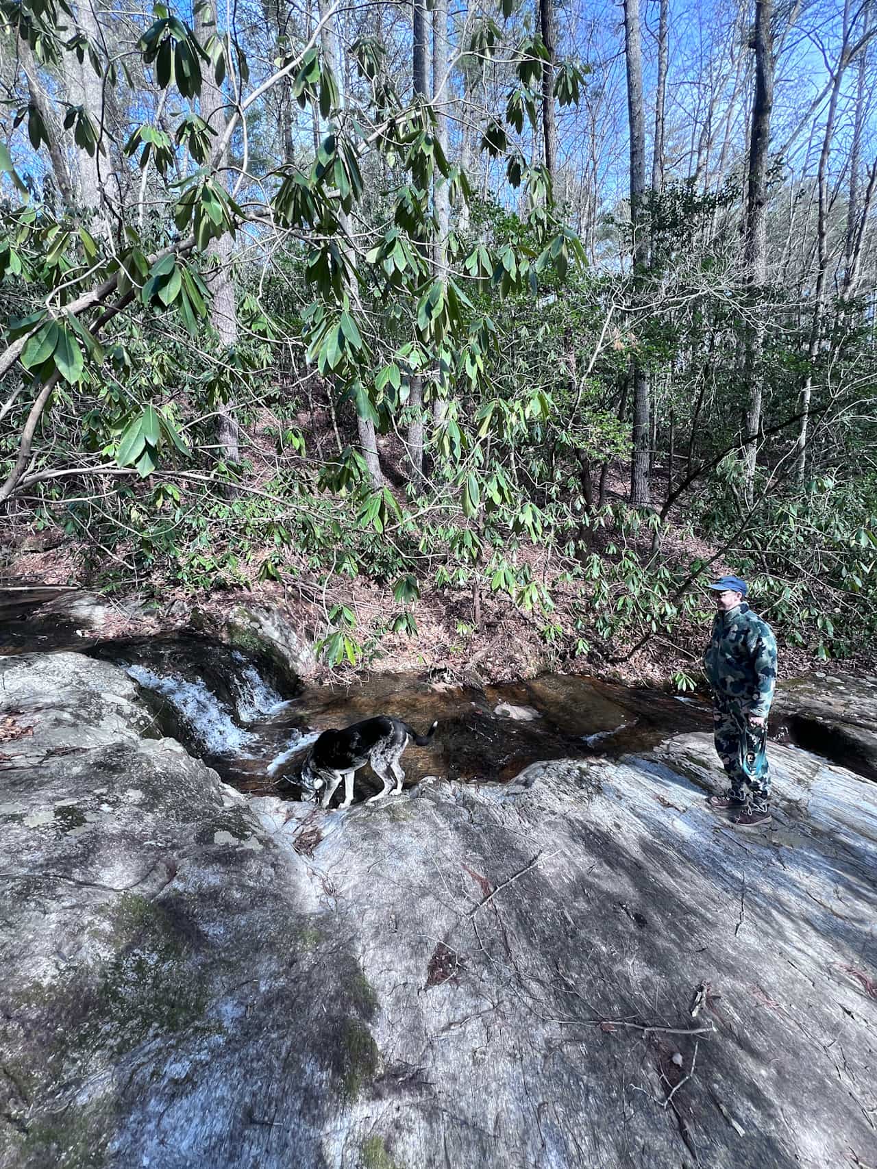 Waterfall frolics 