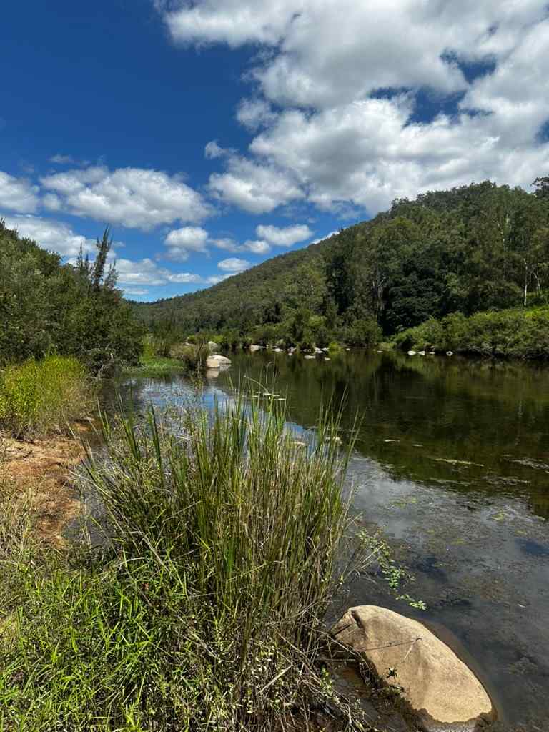 Eagle Ridge Bush Retreat