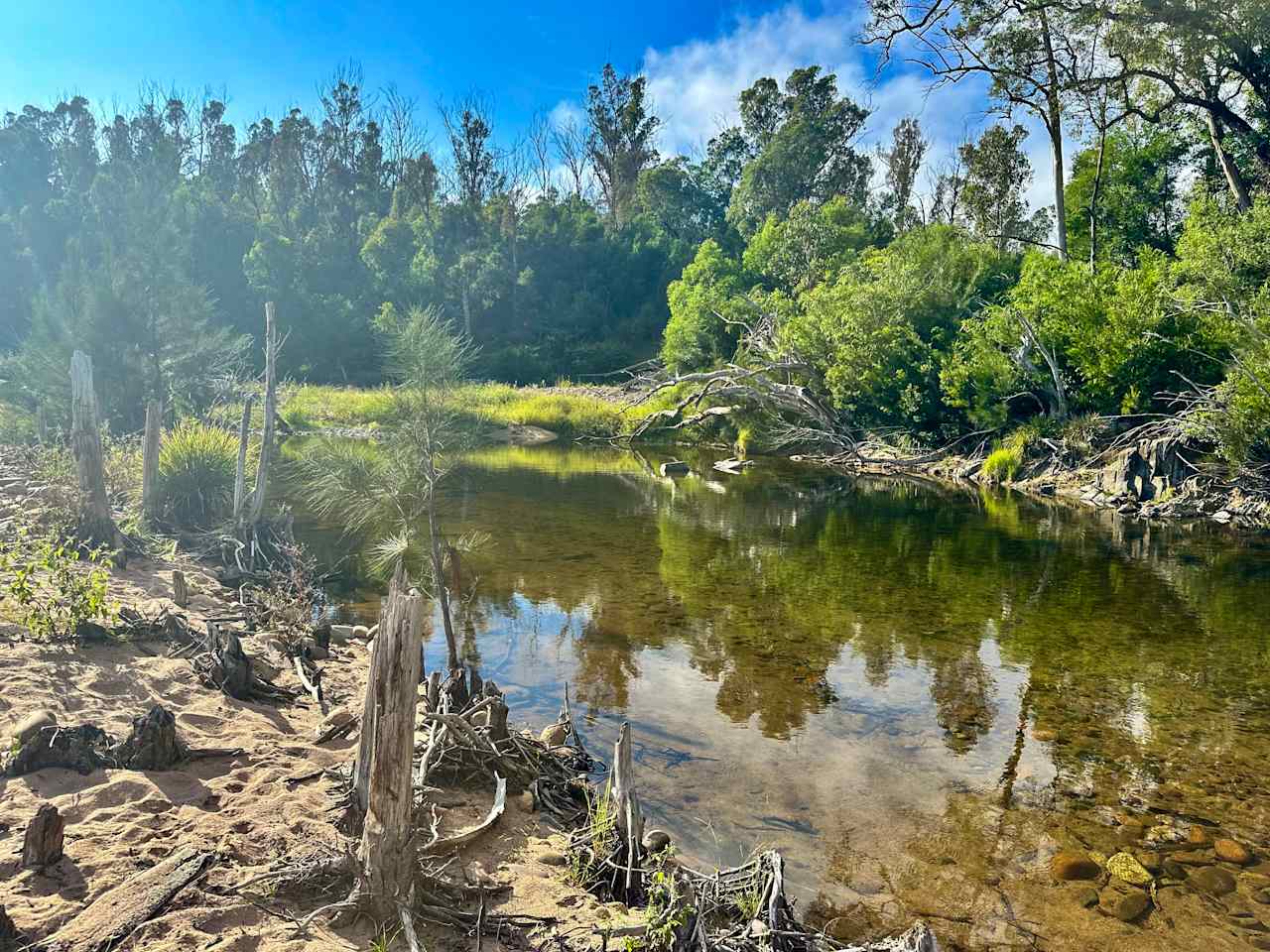 Nerrigundah Tuross River Camping