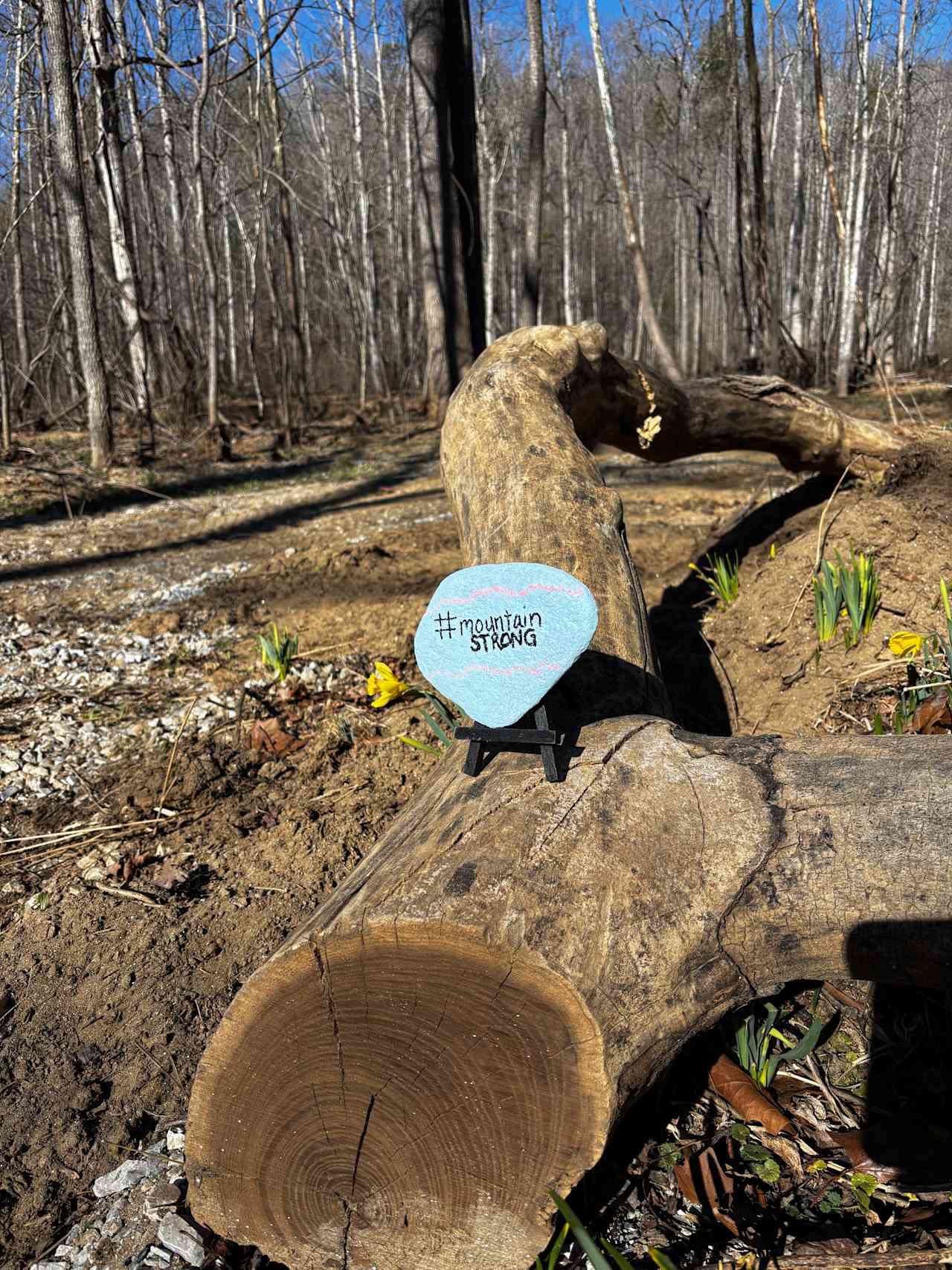 TangleWood Creekside Campsites