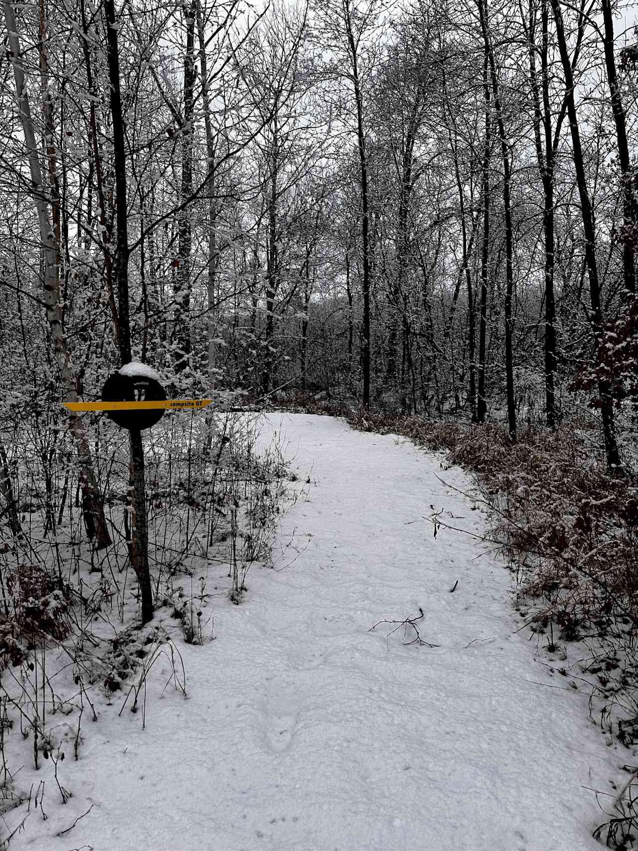 Entrance path into Campsite GT.