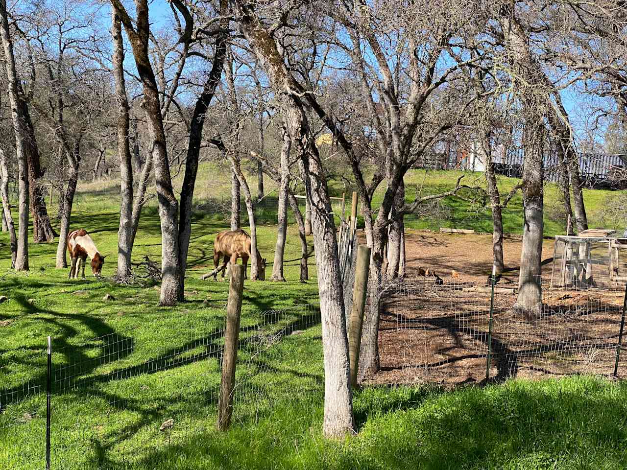 Ascension Ranch