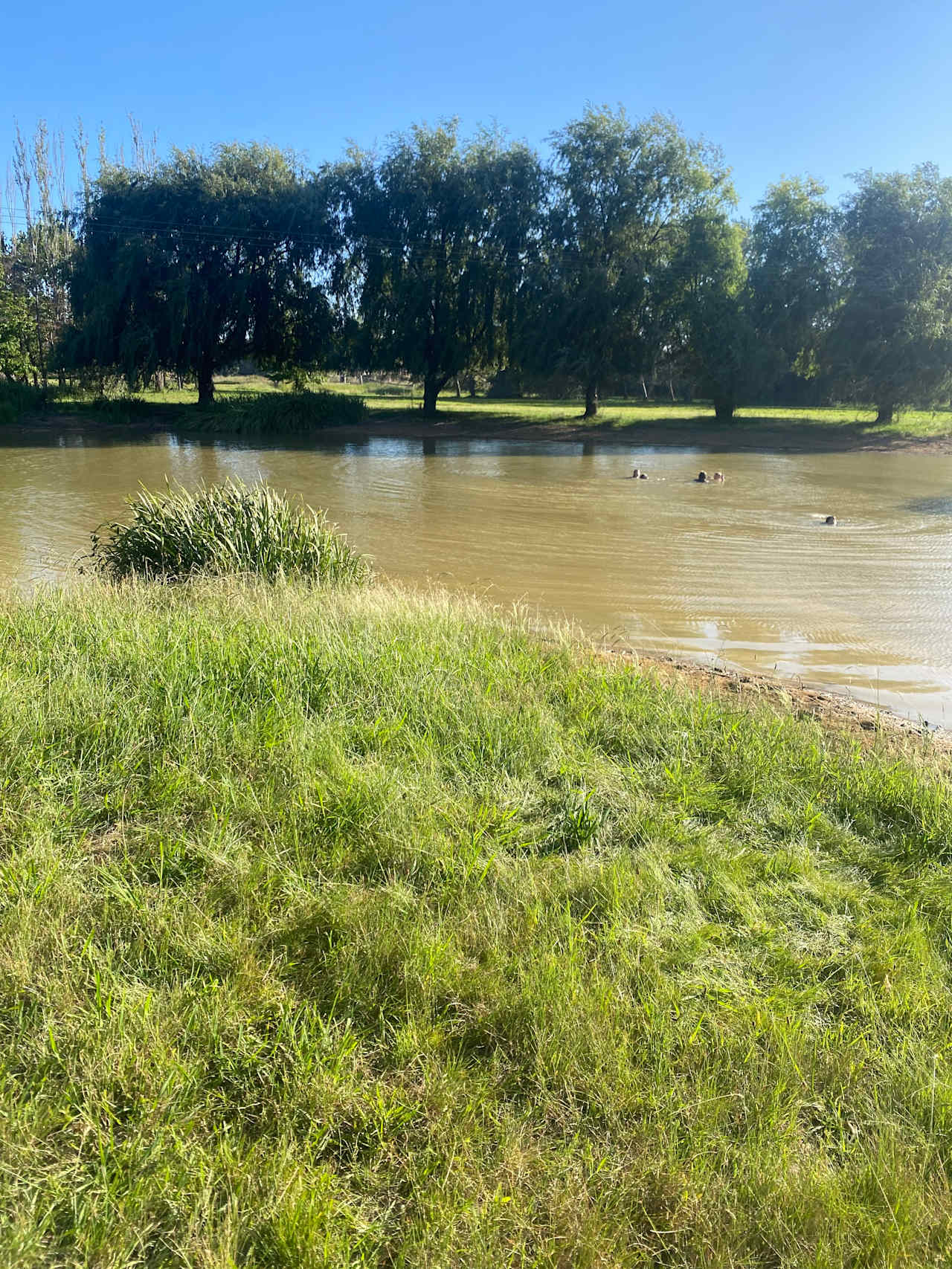 Acre Hill by the Weir