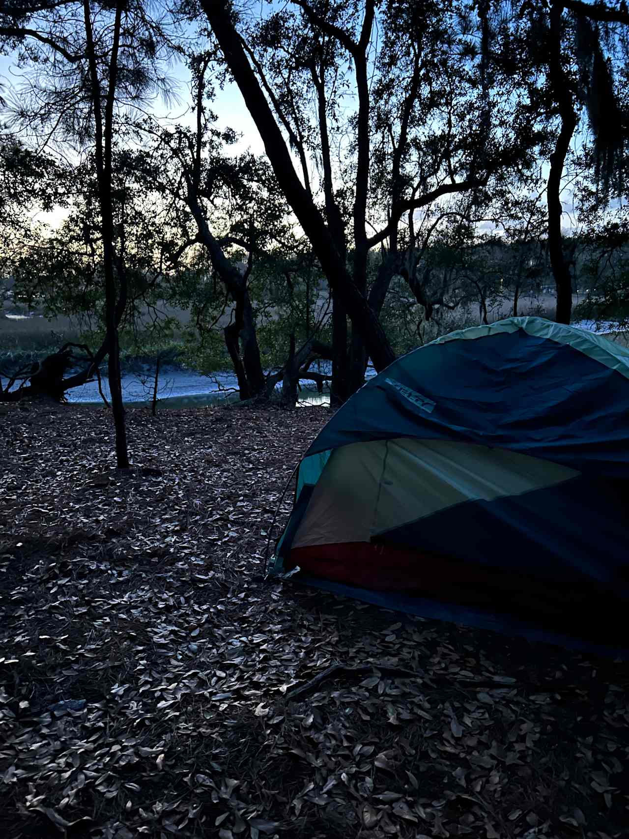 Site 2