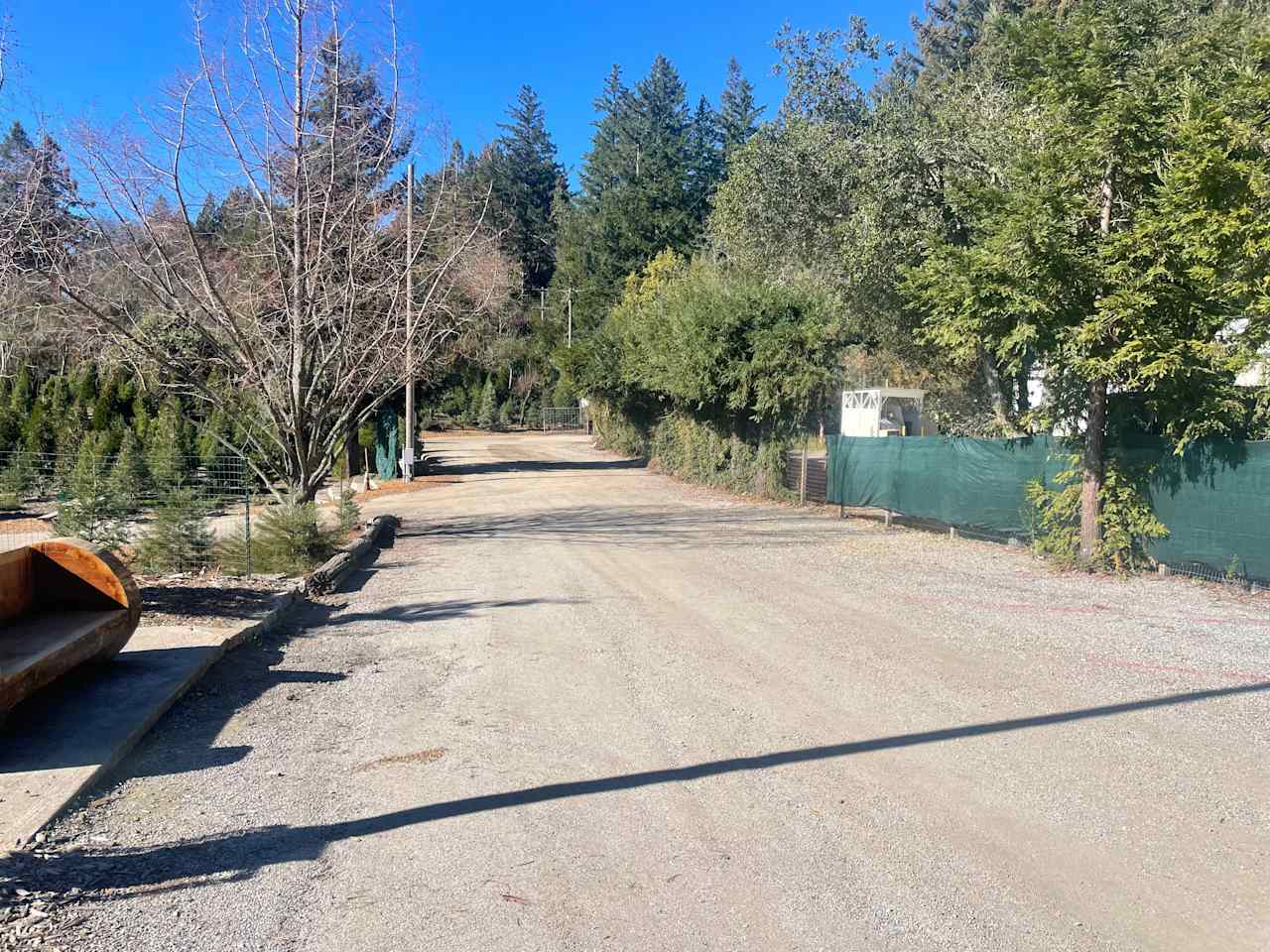 Patchen Christmas Tree Farm