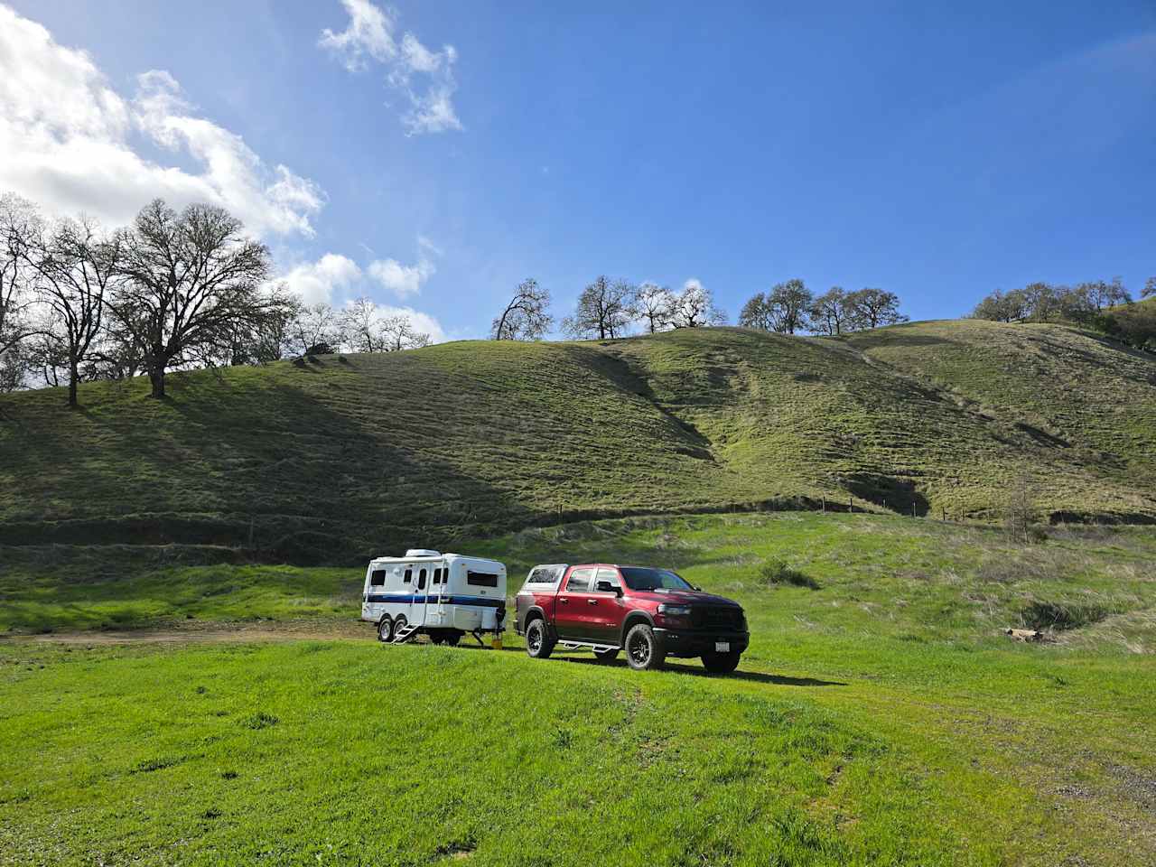 Nelson Family Vineyards
