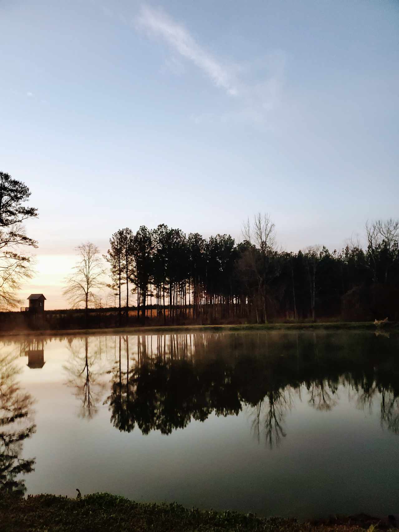 Rock Hill Campsite
