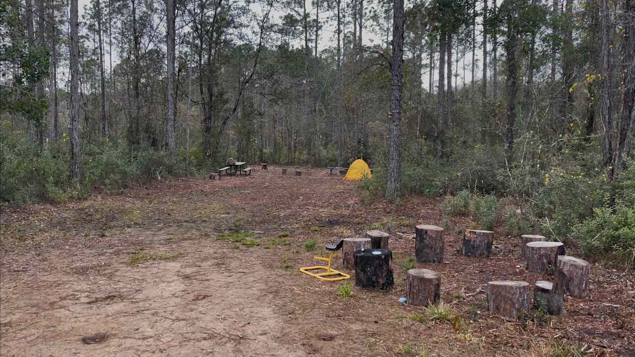 Florida Wildlands