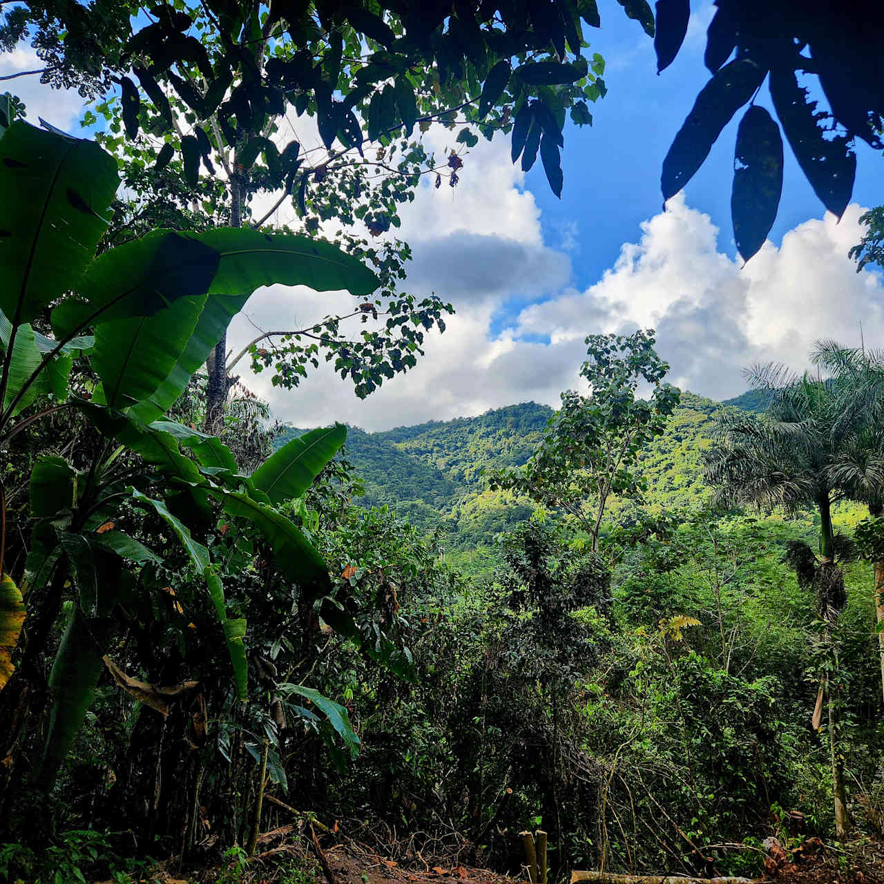 Sumer Farms: Sacred Soil Sanctuary