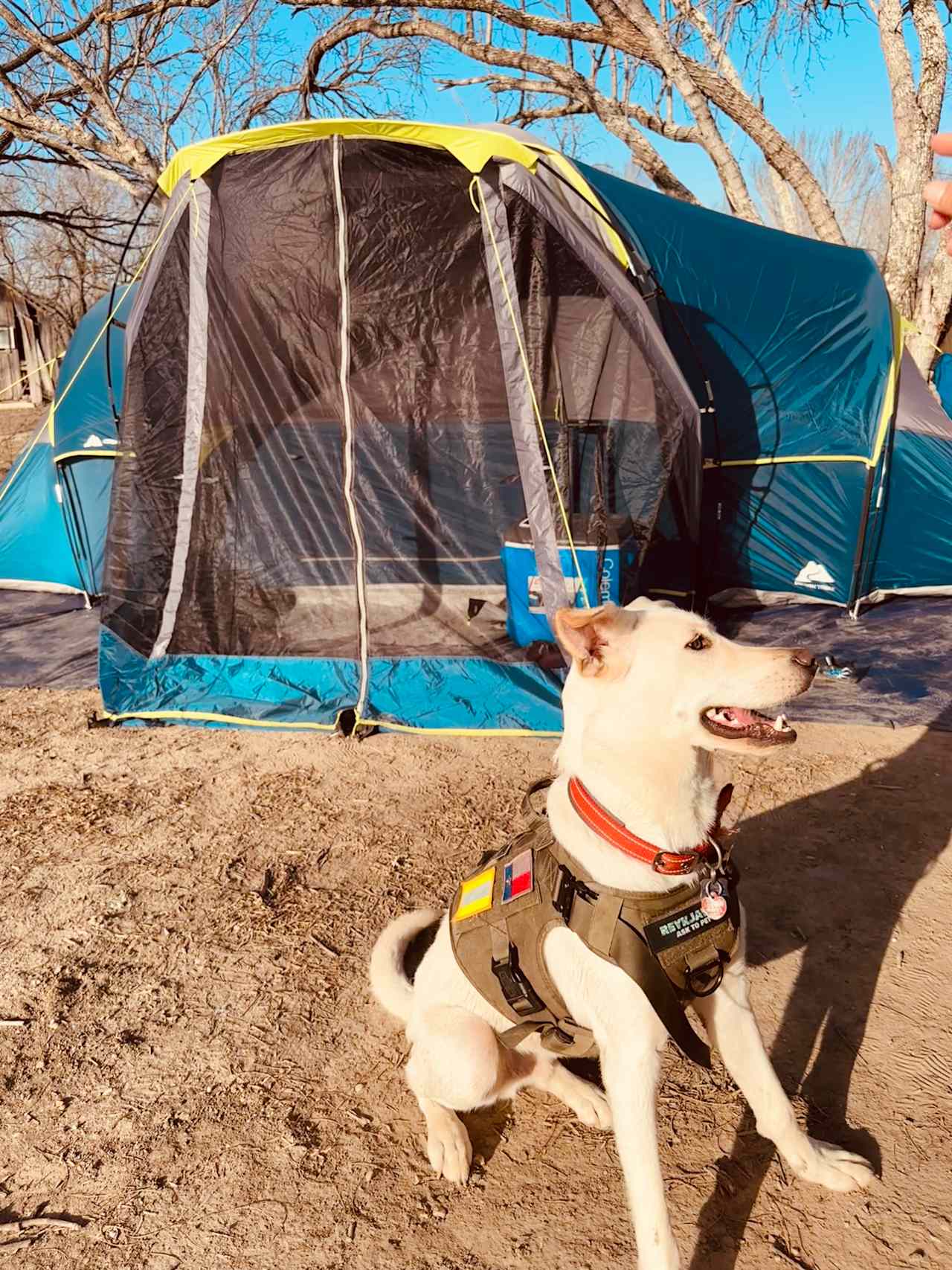 A Dogs Paradise with an OFF LEASH BONUS!