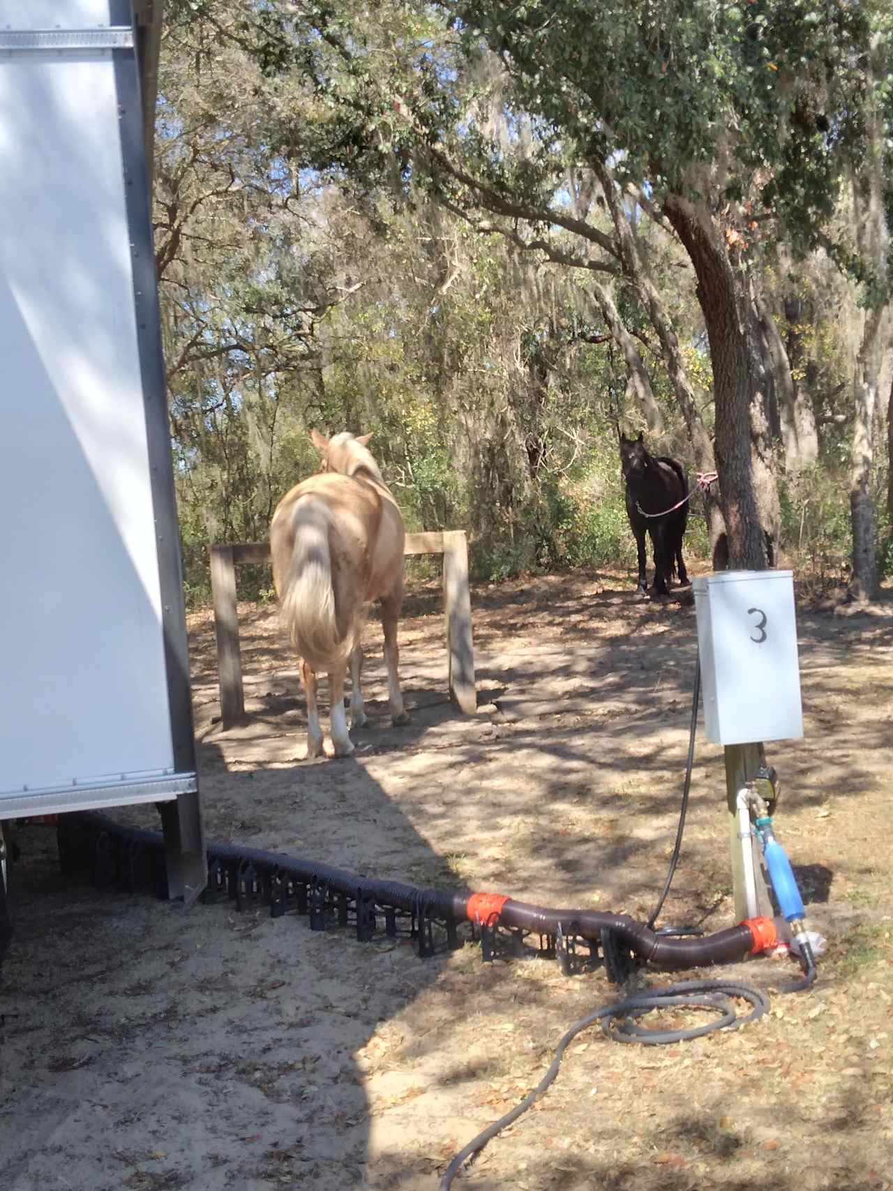 Black Horse Resort Ranch Campground