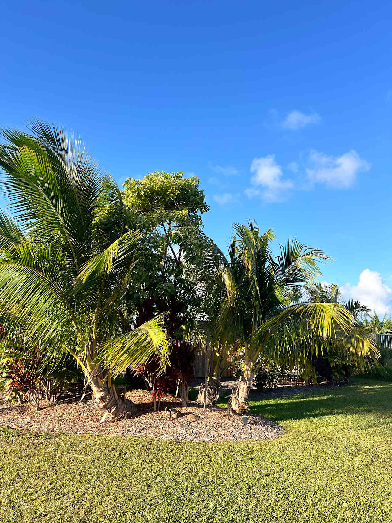 Northshore Experience