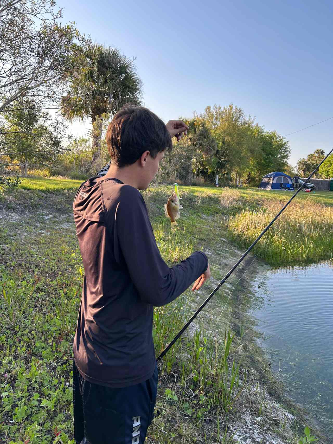 Taste of Old Florida