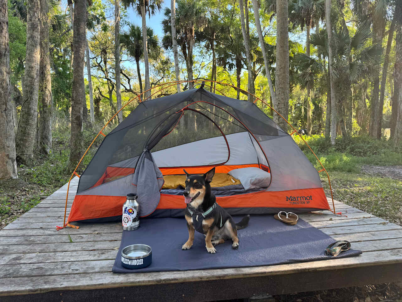 My dog loved the raised platform 