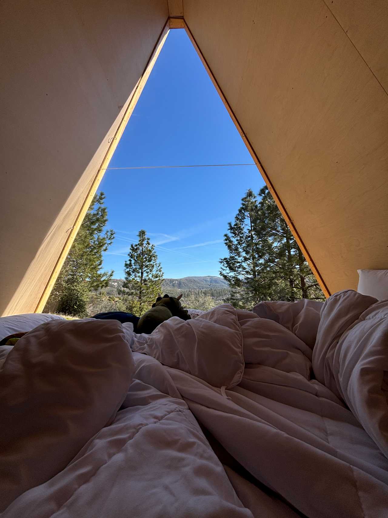 Nolla A-Frames Near Yosemite