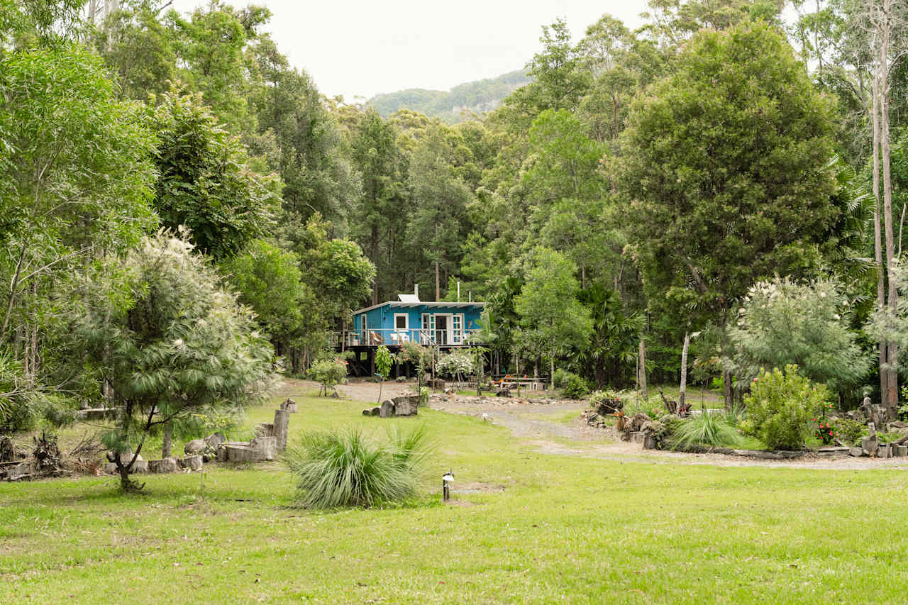 Wombat's Forrest