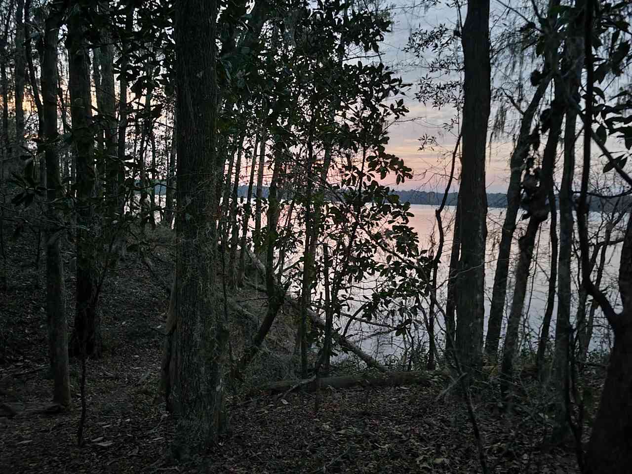 Walk to a state forest with beautiful lake views