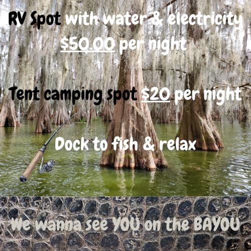 Bayou View