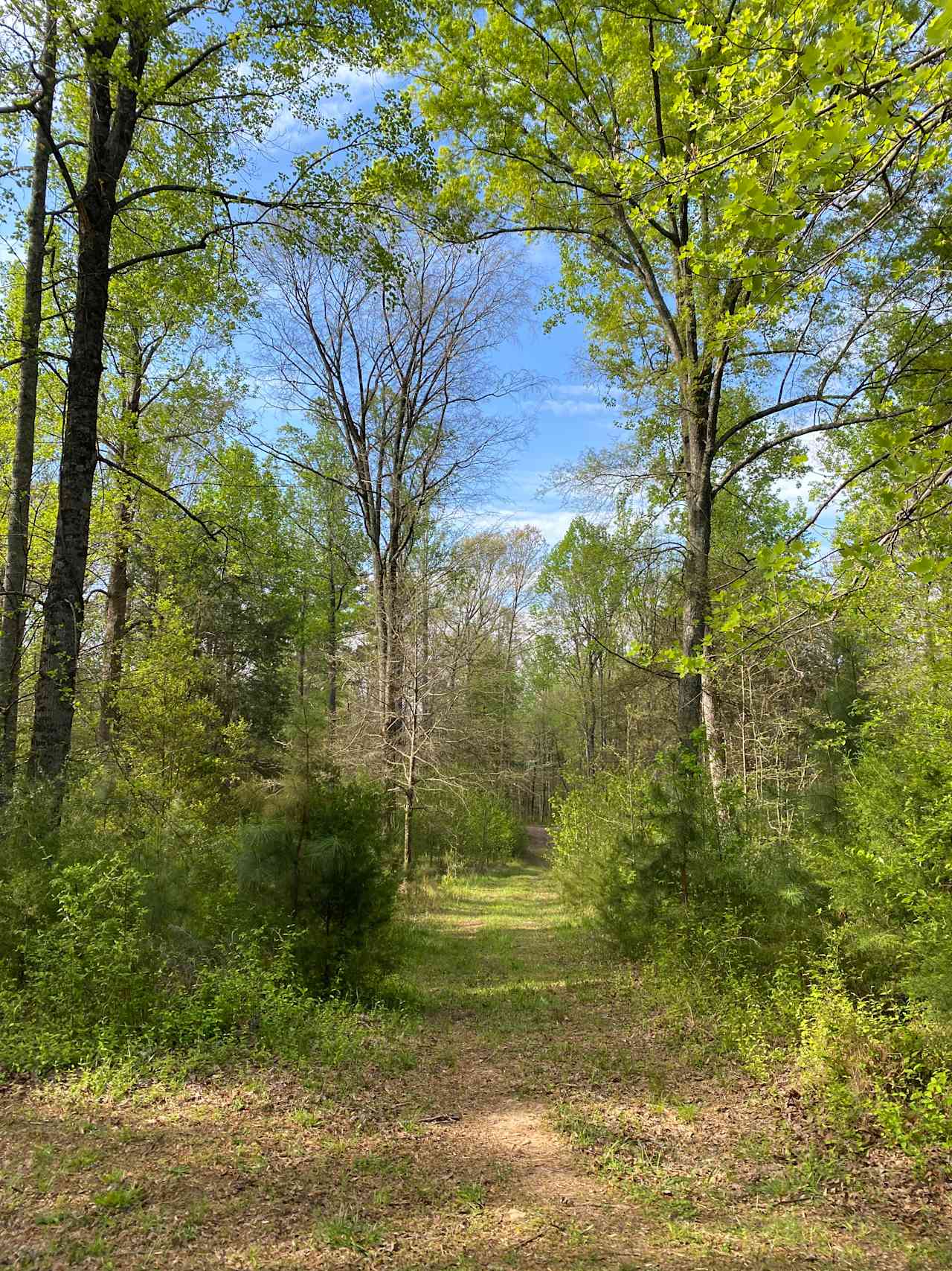 Adkins Nature Retreat