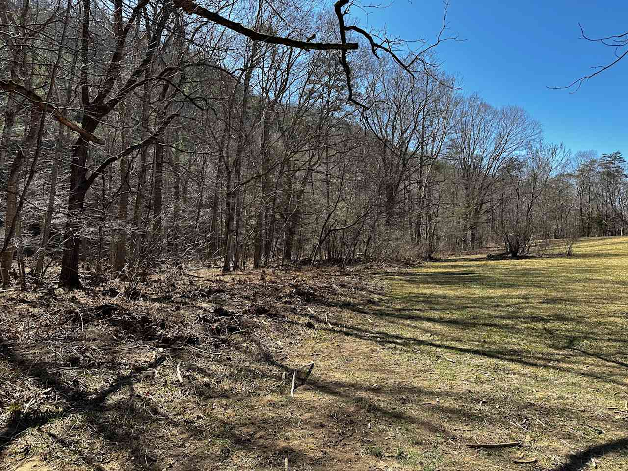 Savage Acres on Craig Creek