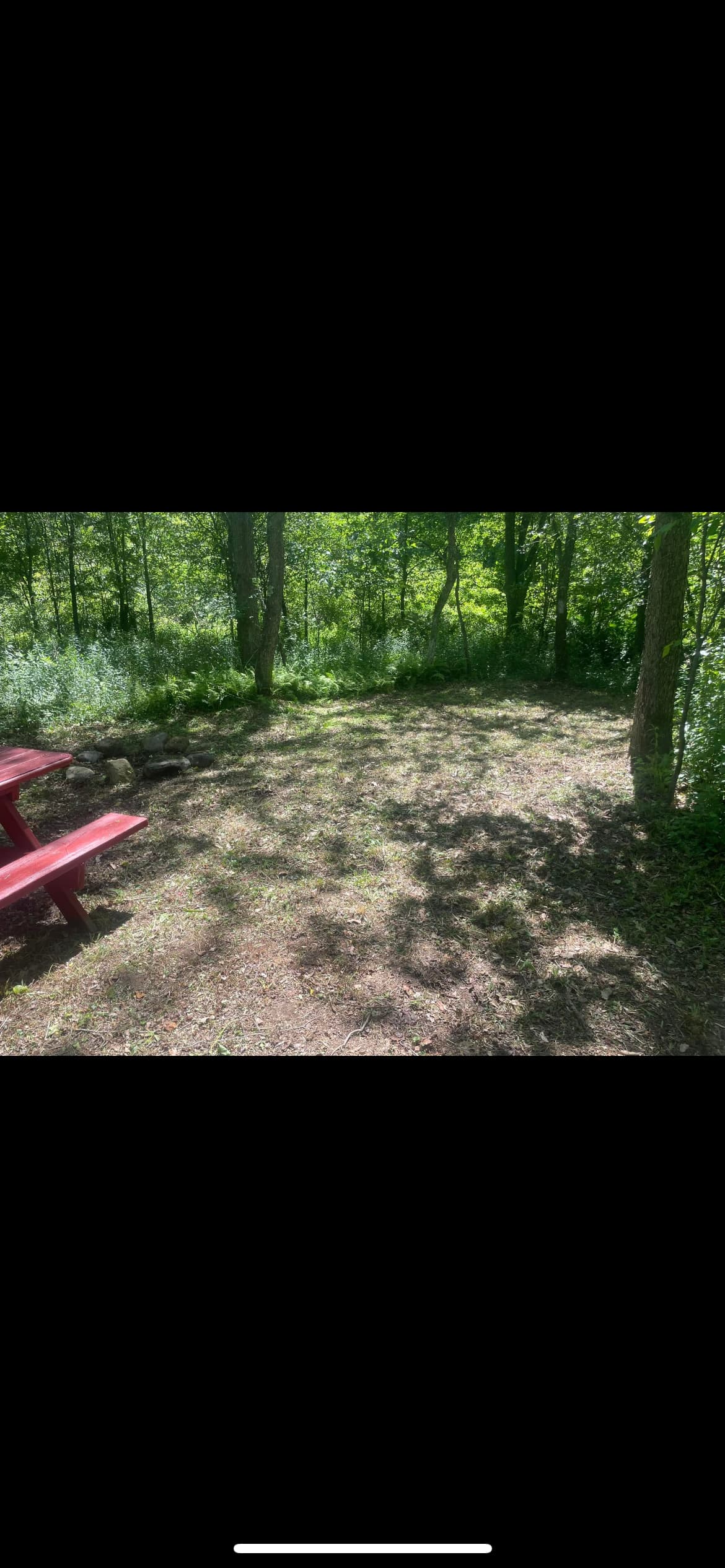 Stoney Run Primitive Tent Camping