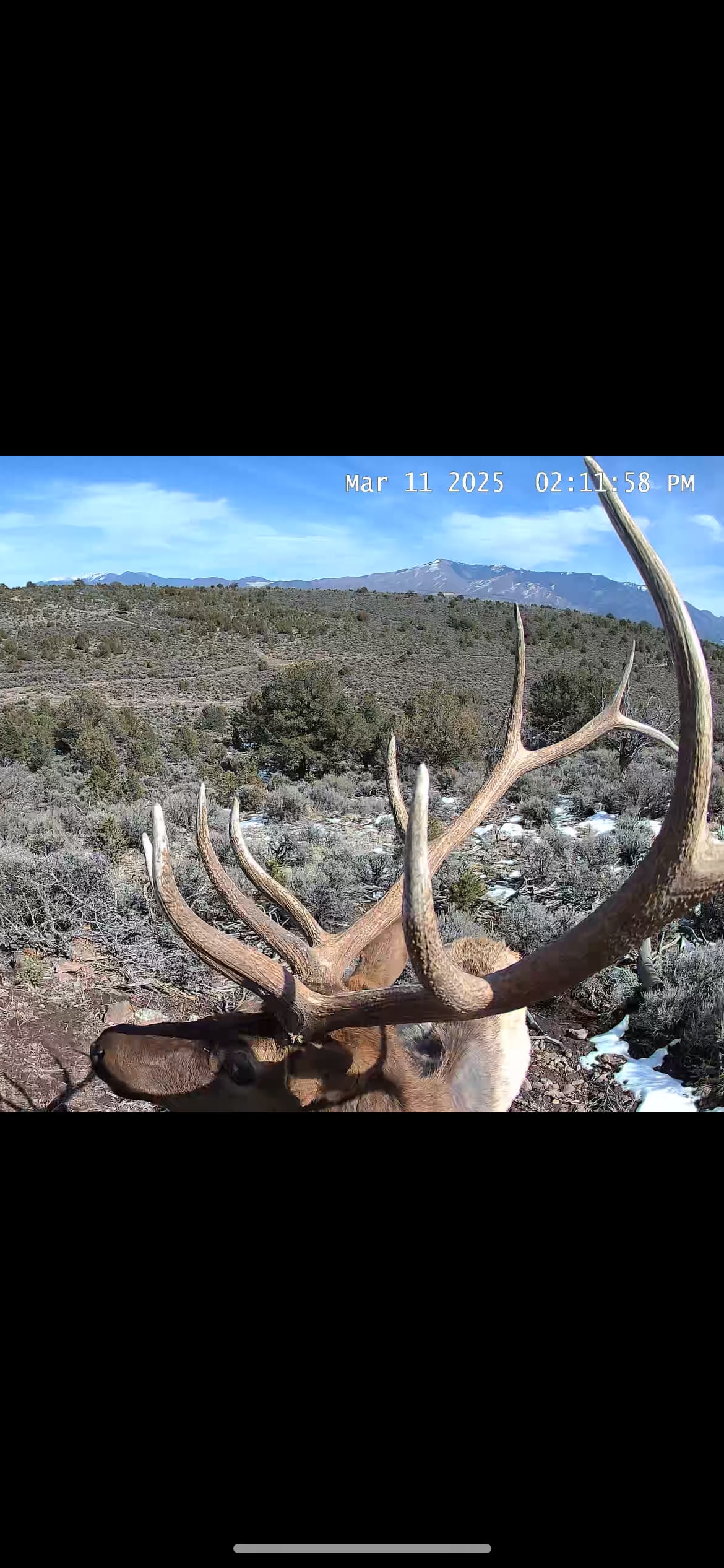 He said “Cheese” for the camera!
Supporting wildlife in the Rio Grande Del Norte and Taos Plateau areas. 
