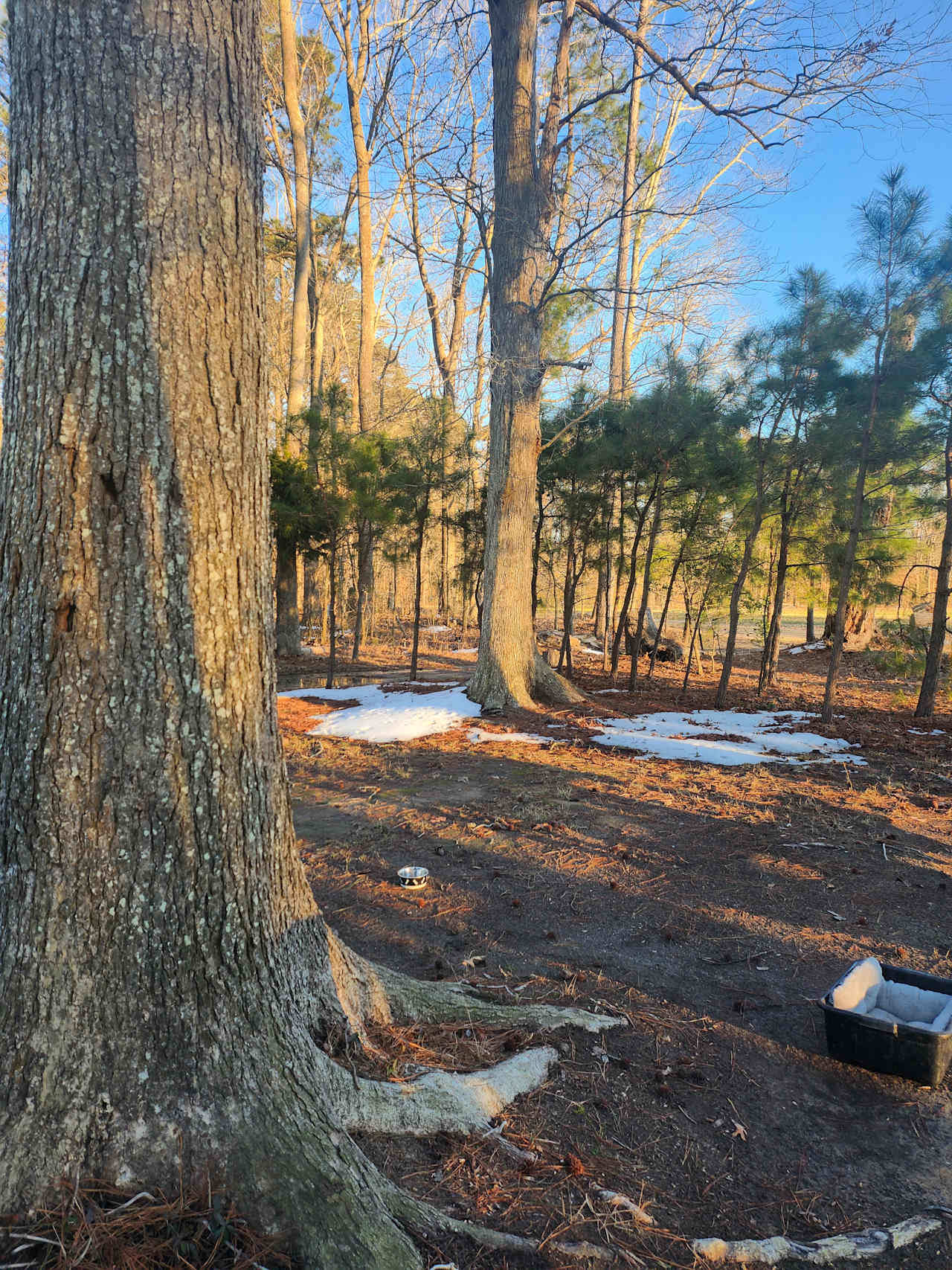 Spruill Conservation Farm