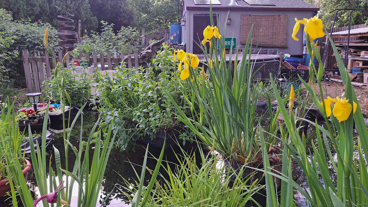 Homestead Sanctuary