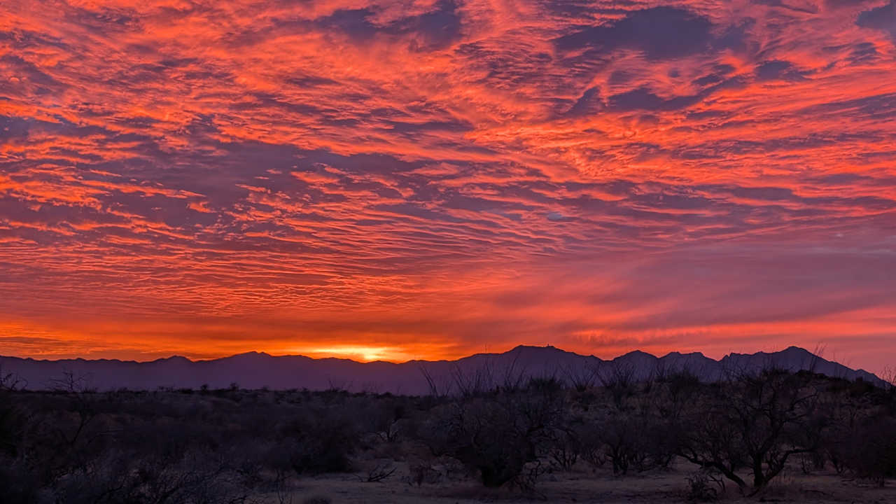 Glorious Sunset