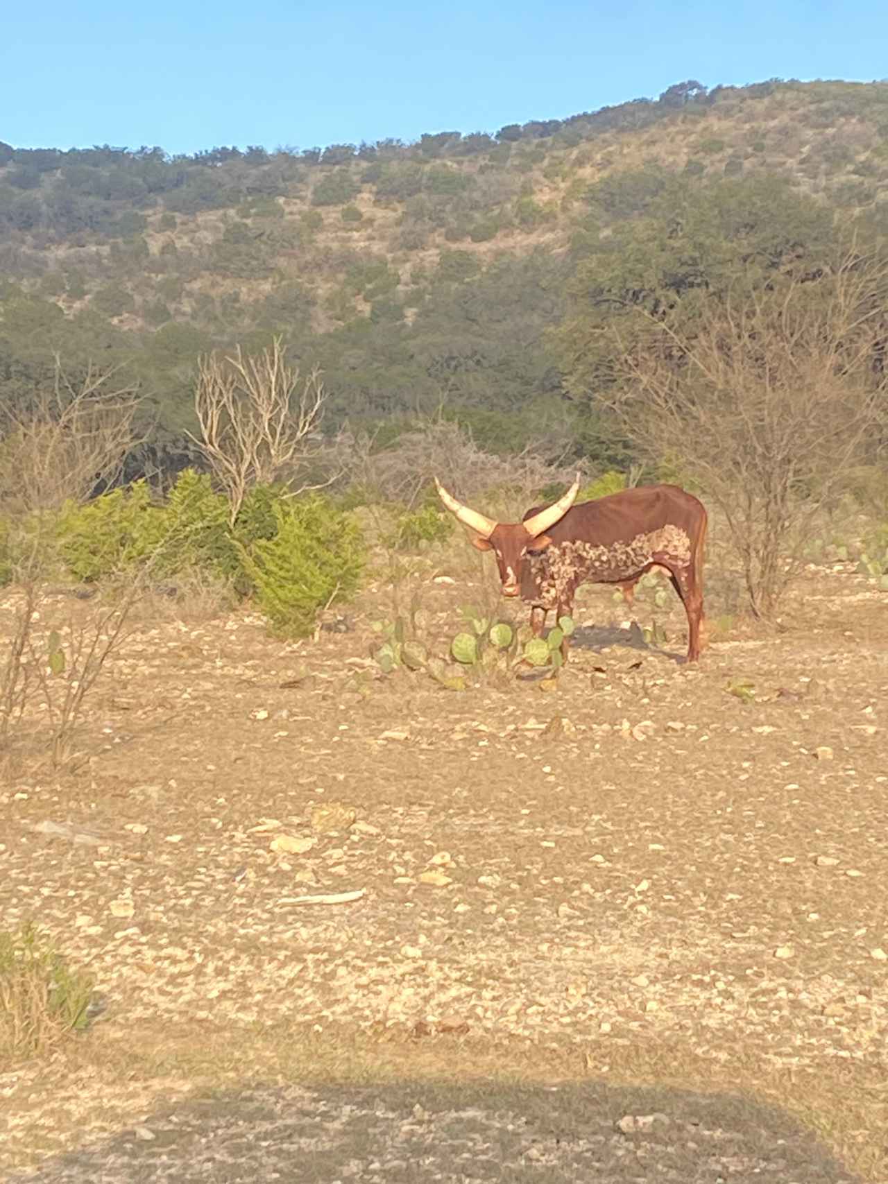 Hiker's Paradies | 6,000 Acre Ranch