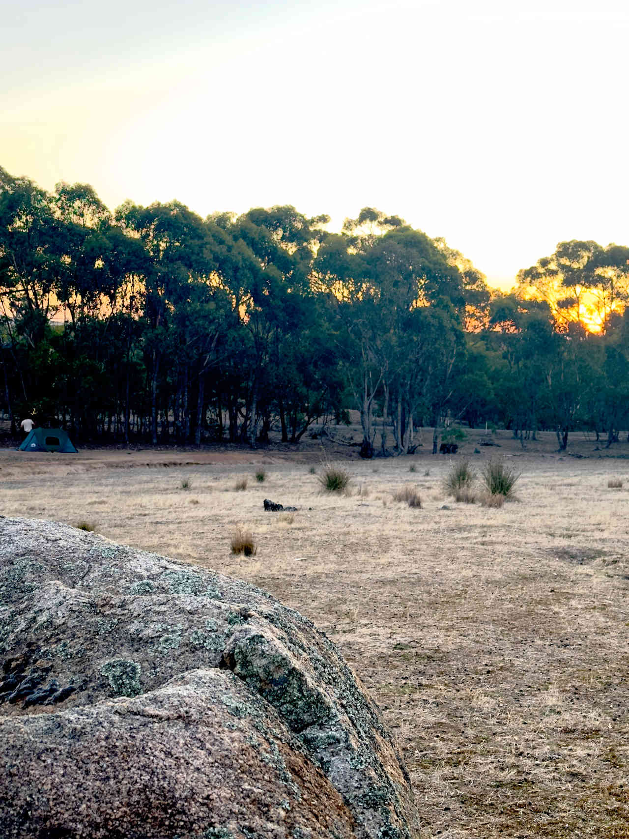 Maldon Camp
