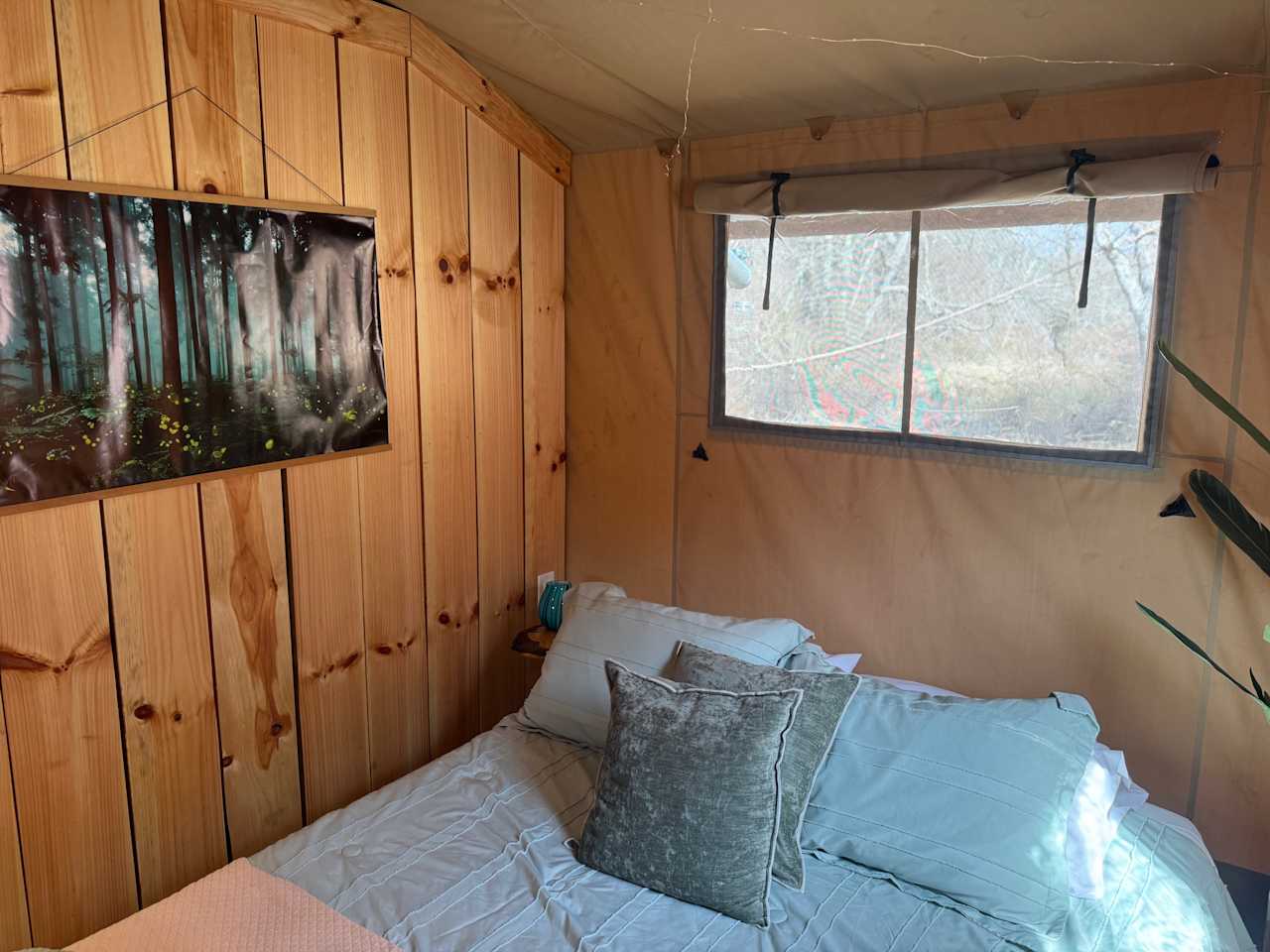 Firefly  tent on the creek bank