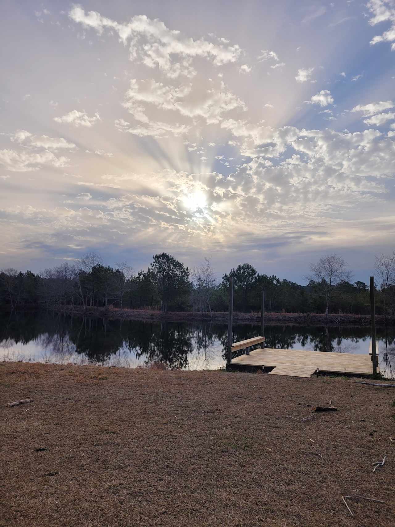 Morning Sun