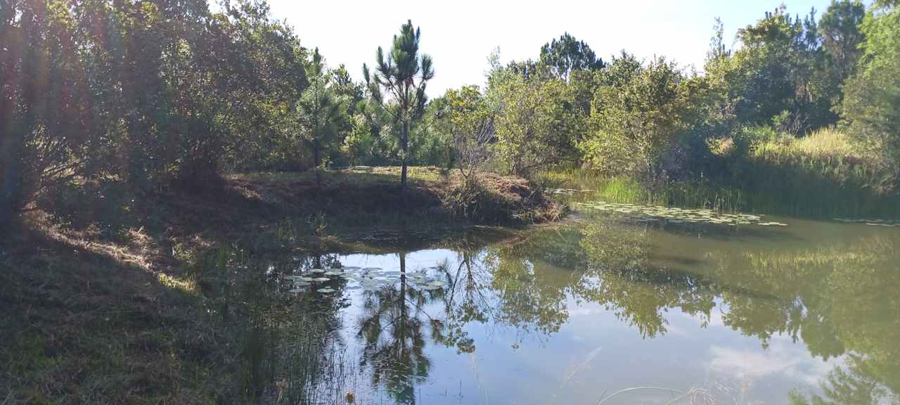 Wandering Waters