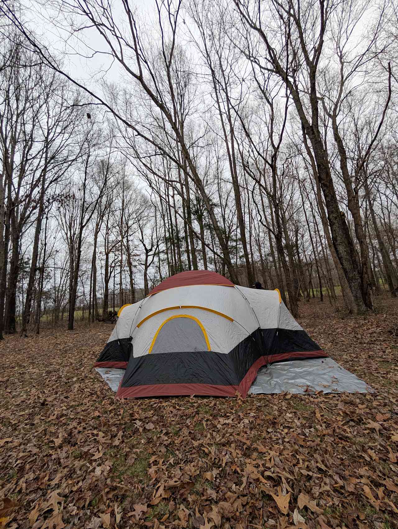 Our Little Farm Campsites